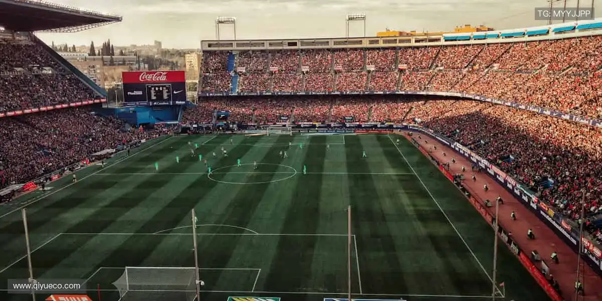 ⚽️ 赛事盛宴,激情永不落幕!